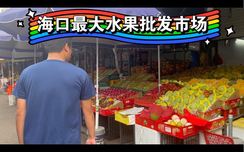 海口批发零售商家